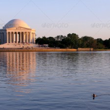 Image Alt Text Displays Here